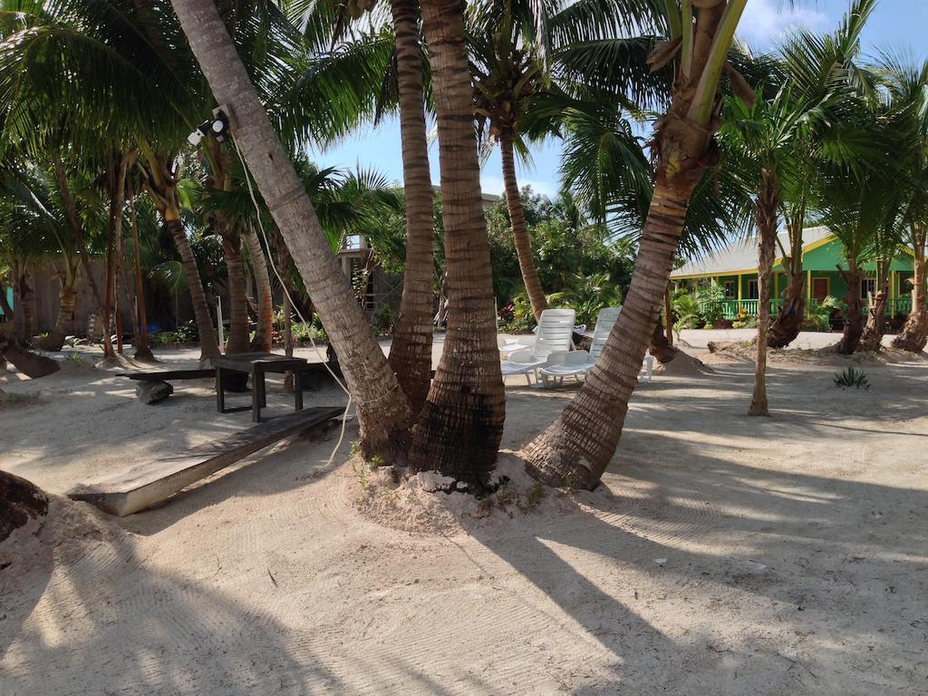 Turtle Beach San Pedro  Buitenkant foto