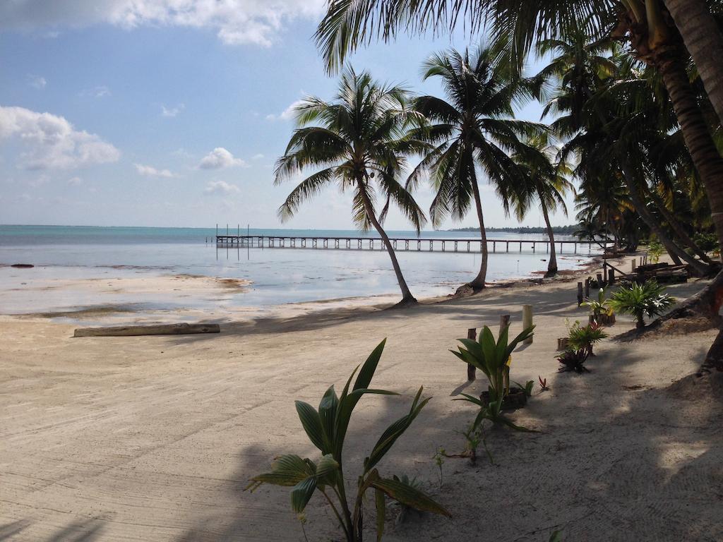 Turtle Beach San Pedro  Buitenkant foto