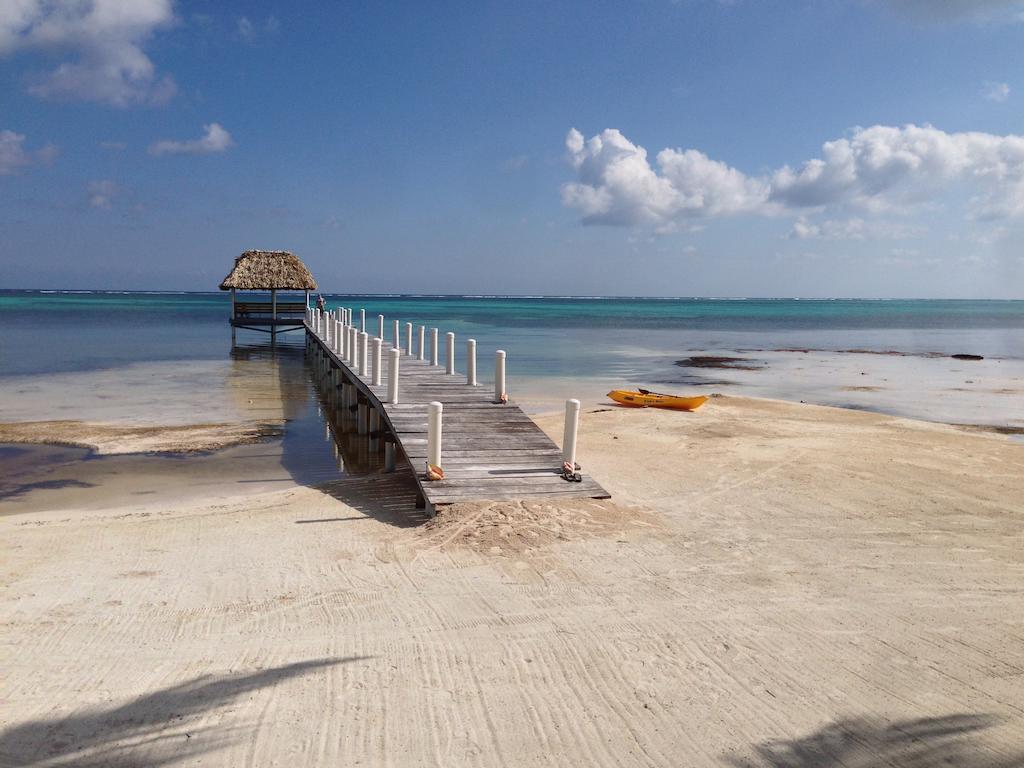 Turtle Beach San Pedro  Buitenkant foto