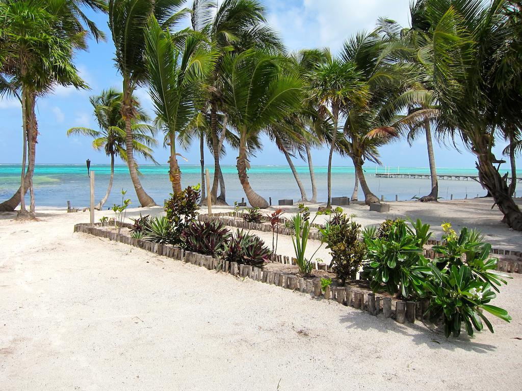 Turtle Beach San Pedro  Buitenkant foto