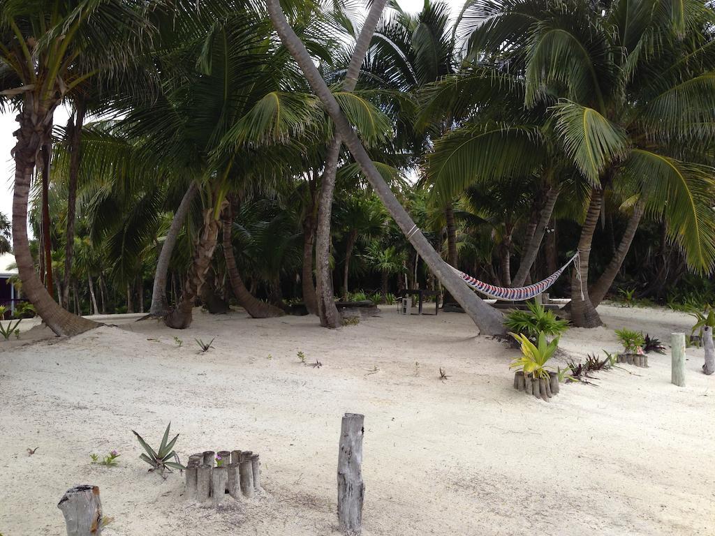 Turtle Beach San Pedro  Buitenkant foto