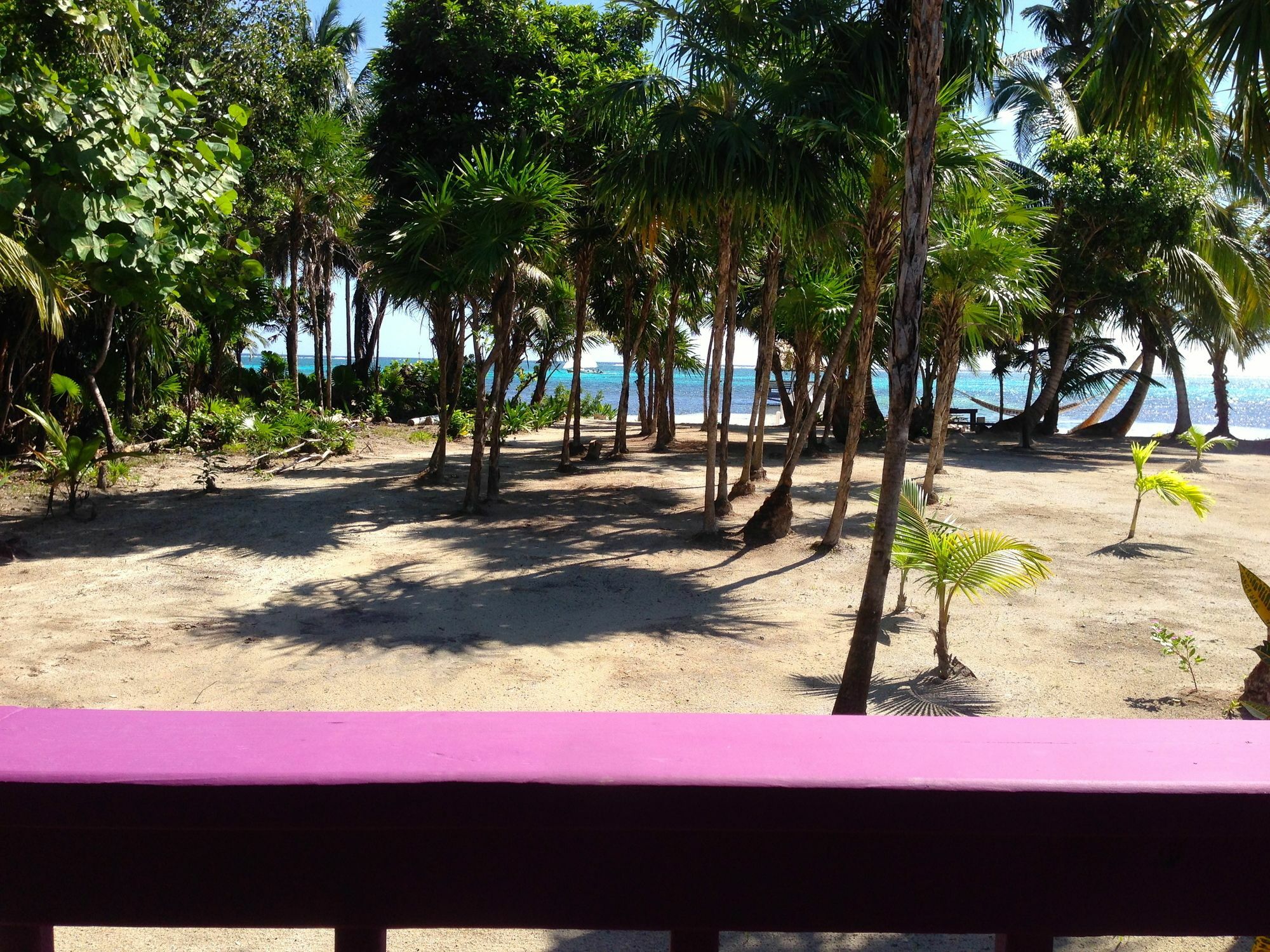 Turtle Beach San Pedro  Buitenkant foto